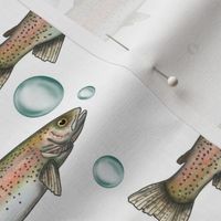 Rainbow Trout on white with bubbles