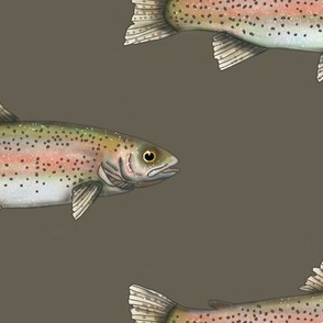 Oversize Rainbow Trout on Army Green