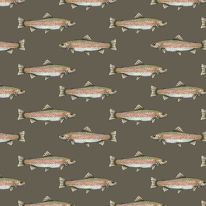 Rainbow Trout Fish on Army Green