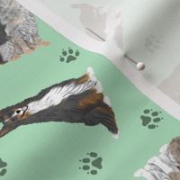 Tiny assorted Border Collies - green