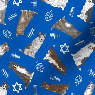 Tiny assorted Border Collies - Hanukkah