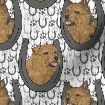 Norfolk & Norwich Terrier horseshoe portraits