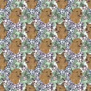 Floral Norfolk & Norwich Terrier portraits