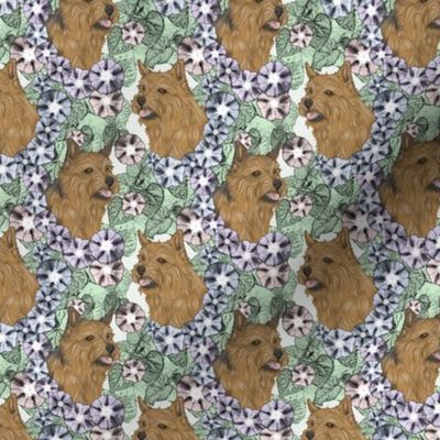 Small Floral Norwich Terrier portraits
