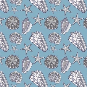 Neutral seashells on blue