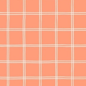 Minimal Grid on Coral Pink