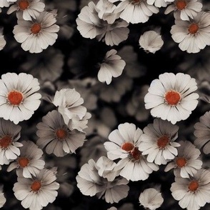 White and Orange Flowers