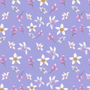 lemon blossoms | sf-lilac background
