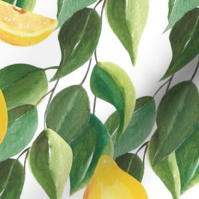 watercolor lemon branches on white background