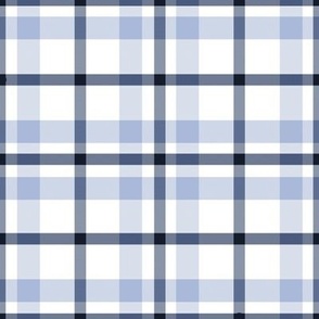Shades of Dusty and Midnight Blue Plaid