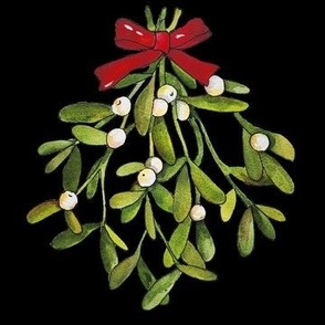 Holiday Mistletoe on Black