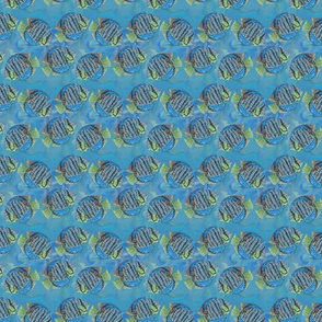 blue spotty fish