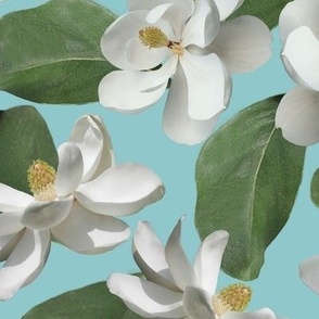 Magnolia on Turquoise Large
