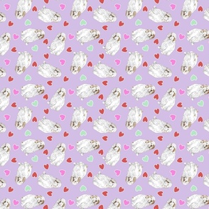 Tiny Clumber Spaniels - Valentine hearts