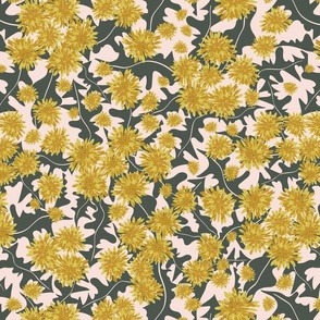 ca 17'' dandelion in spring garden | yellow mustard flowers and green leaves on pale pink