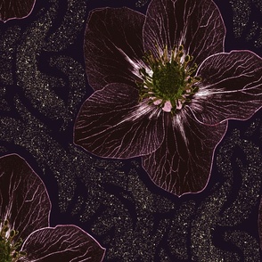 Hellebore Christmas Rose Deep Dark Purple with Gold Glitter on black purple