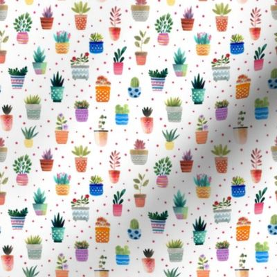 Spain - colorful plant pots S