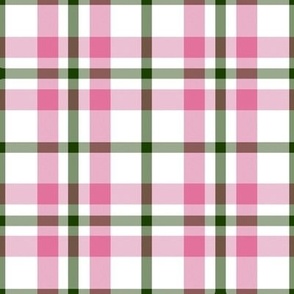 Shades of Bubblegum Pink and Green Plaid