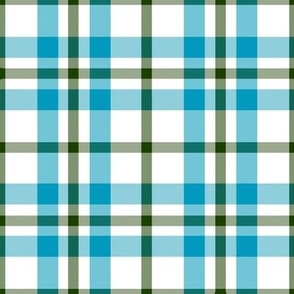 Shades of Caribbean Blue Green and White Plaid 2