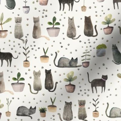 House cat - Cats and plants M