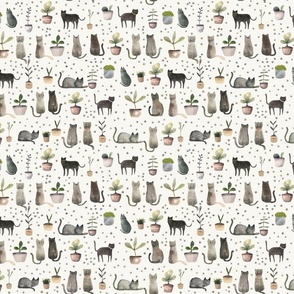 House cat - Cats and plants M
