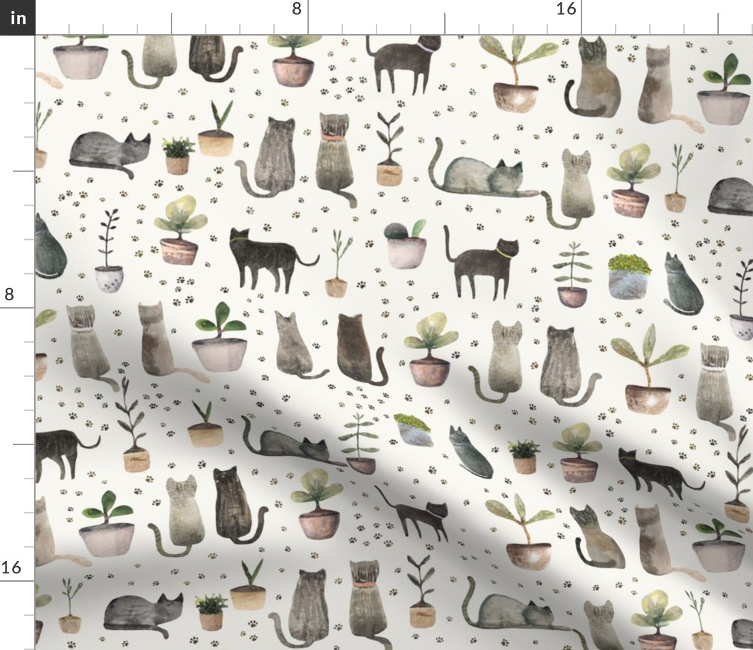 House cat - Cats and plants M