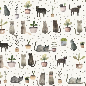 House cat - Cats and plants L