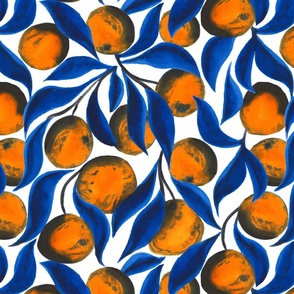 Citrus summer - Oranges L