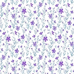 Flax flowers_violet