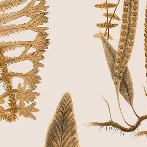 Fern Forest Bronze on Parchment // large