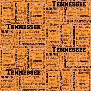 Tennessee cities, orange - small (4-inch repeat)