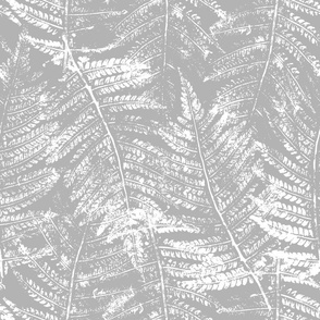 Fern leaves