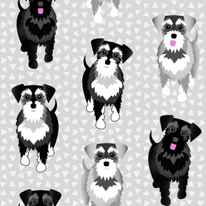 Never Too Many Schnauzers