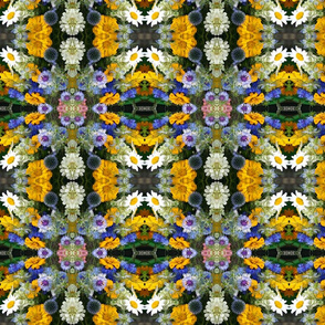 Kaleidoscope of Flowers_9827
