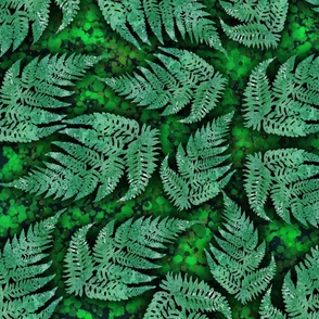 Ferns Above the Mossy Forest Floor//Large