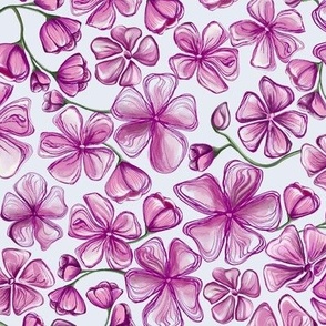 Med. HB Sketch Flowers China - Pink