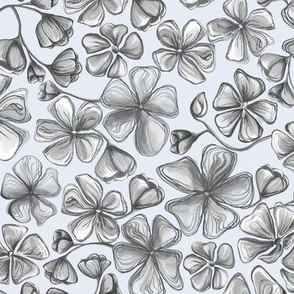 Med. HB Sketch Flowers China - Gray 
