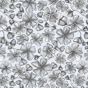 Small HB Sketch Flowers China - Gray
