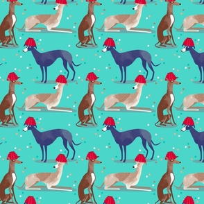 Whippet fabric teal