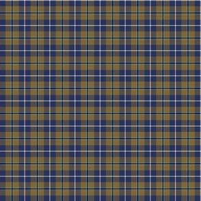 Douglas tartan, 1"  weathered