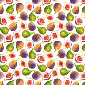 Watercolor figs