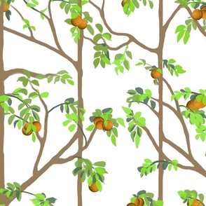 Orangery Trellis 