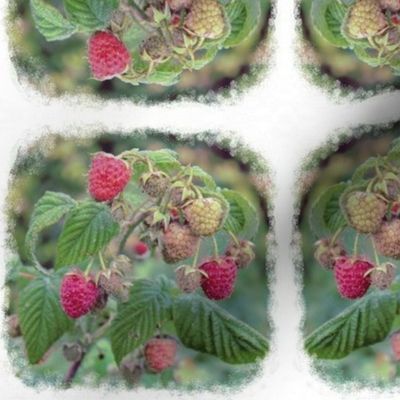 Raspberry mirror