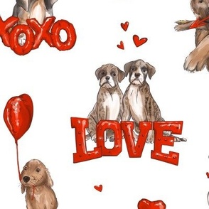 valentine dogs