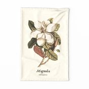 Antique Hand Painted Watercolor Magnolia Flower Tea Towel 2