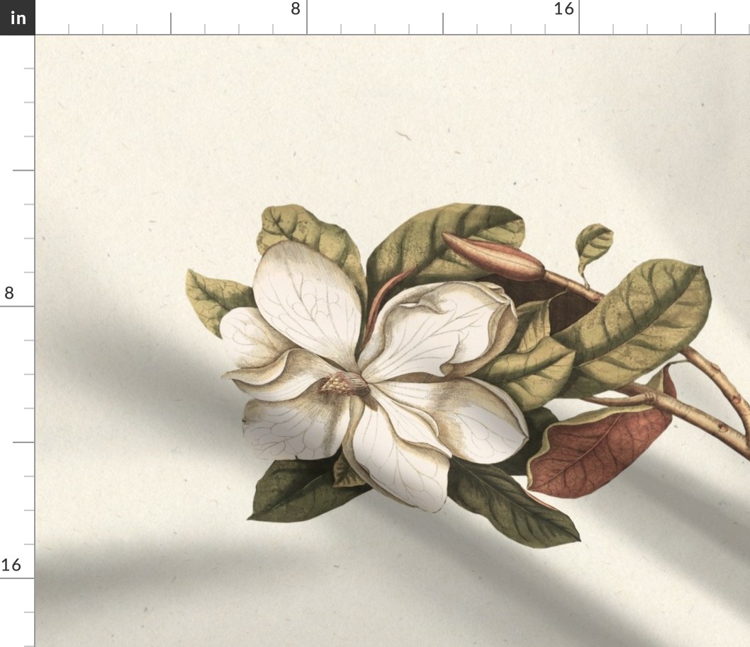 Antique Hand Painted Watercolor Magnolia Flower Tea Towel 2