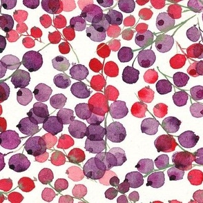 Red and black currants in water color