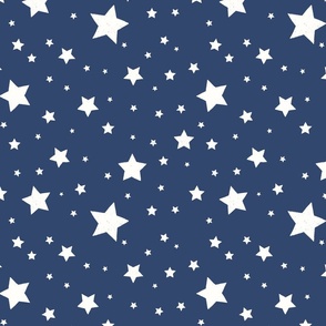 Stars - Adventure - Navy - Small