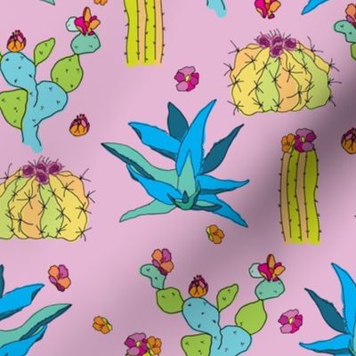 Colorful Cactus-01