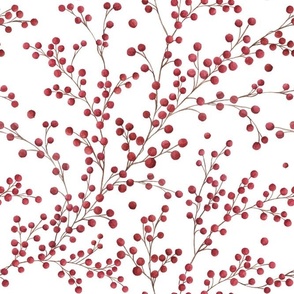 Holly branches with berries. Christmas festive  hand drawn  watercolor 